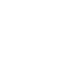 Nvidia Security