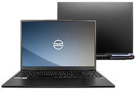 Ordinateurs portables professionnels